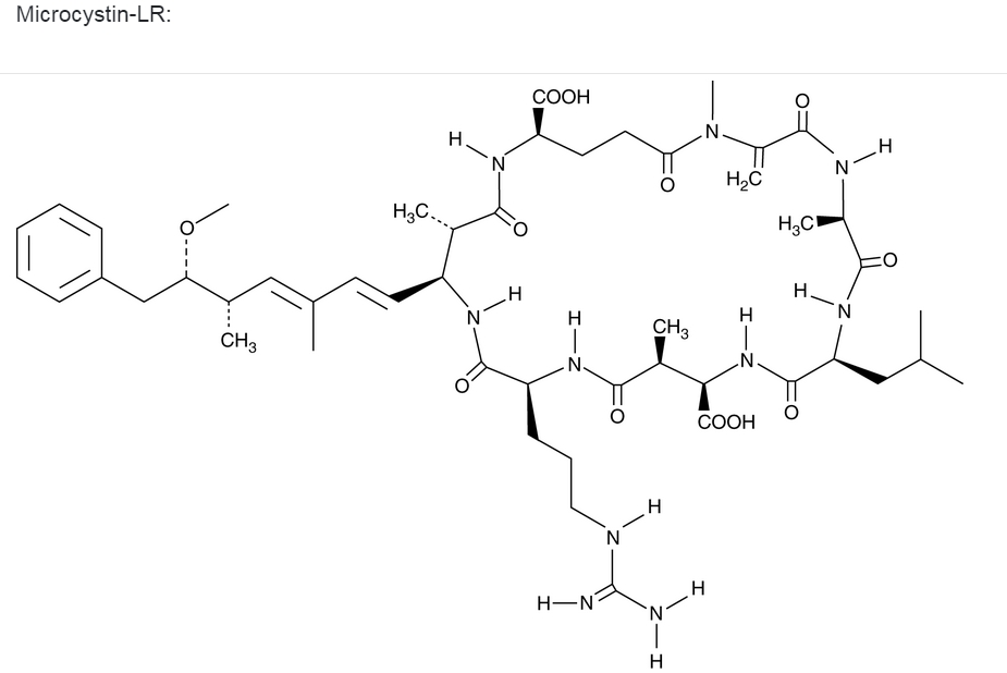 Microcystin-LR (MCLR) 微囊藻毒素LR