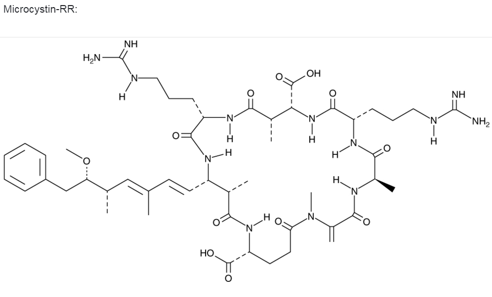 Microcystin-RR (MCRR) 微囊藻毒素RR